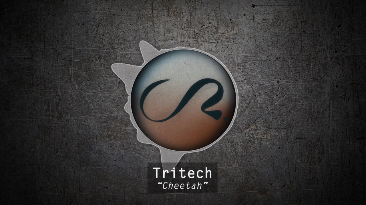 Crooked Records - Tritech | Cheetah