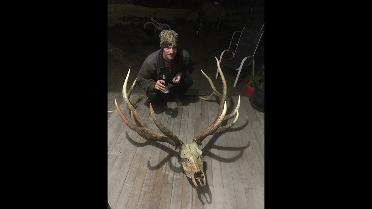 Archery, Sheds, and a Huge Deadhead 2019 YouTube