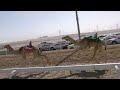 الشوط 2 (مبشر) للسيد: بطي عيسي المنصوري  توقيت 01:44
