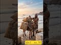 “चालाक गधा और नमक की बोरी”😭😭“ | Emotional 3D Animated Story”#shorts #motivation #viralvideo #ai