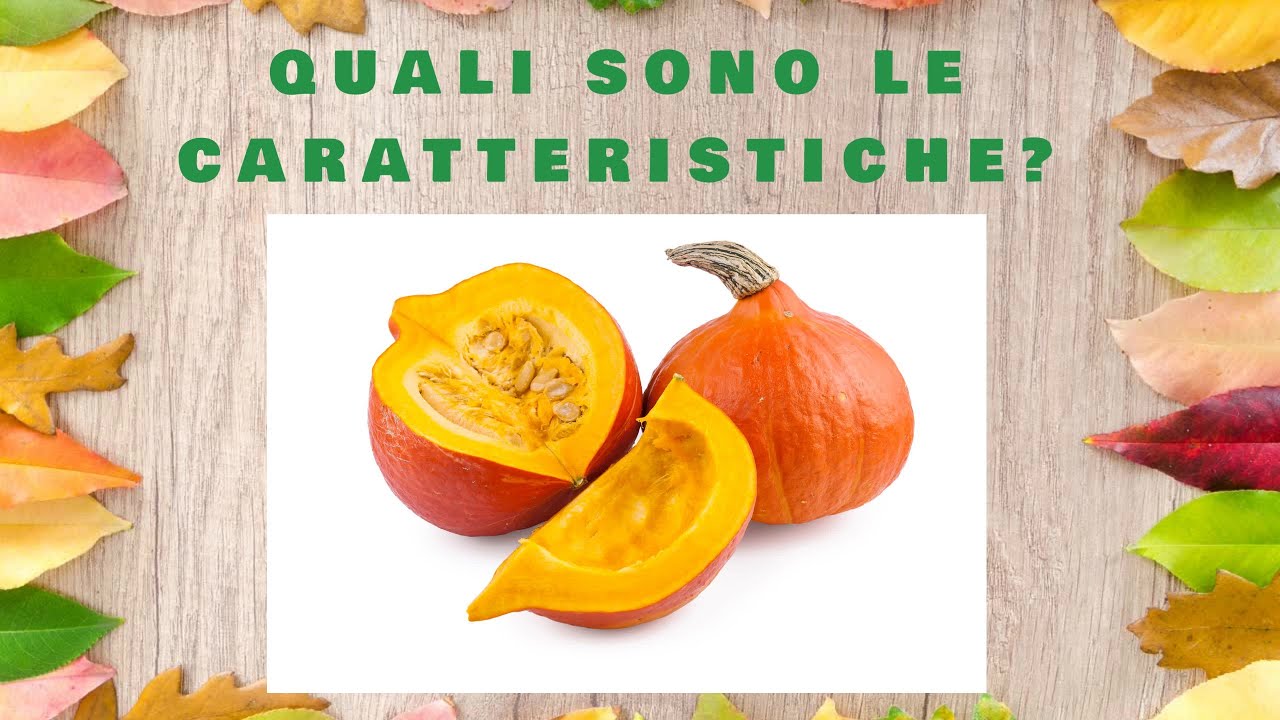Zucca Hokkaido : Perchè è così eccezionale