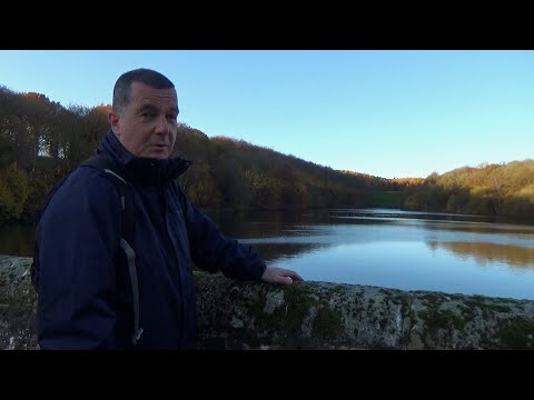 164: Old Brampton, Wigley and Linacre Reservoirs (North East Derbyshire 2021)
