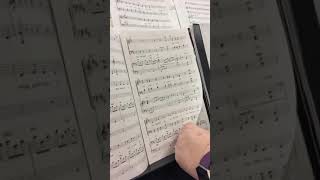 Shepherds Joy Alto