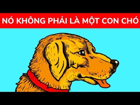 11 ảo ảnh thị giác đánh lừa đôi mắt