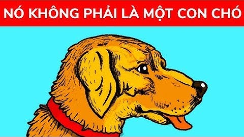 11 ảo ảnh thị giác đánh lừa đôi mắt