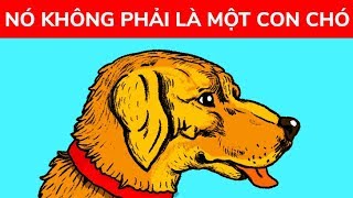 11 ảo ảnh thị giác đánh lừa đôi mắt