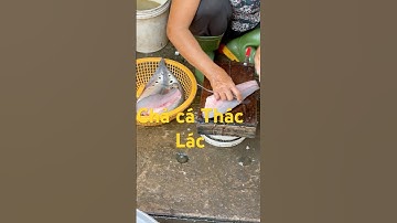 cận cảnh lấy chả từ cá thác lác ở chợ quê #mienque #mientay #mưusinhmiềnquê #angiang