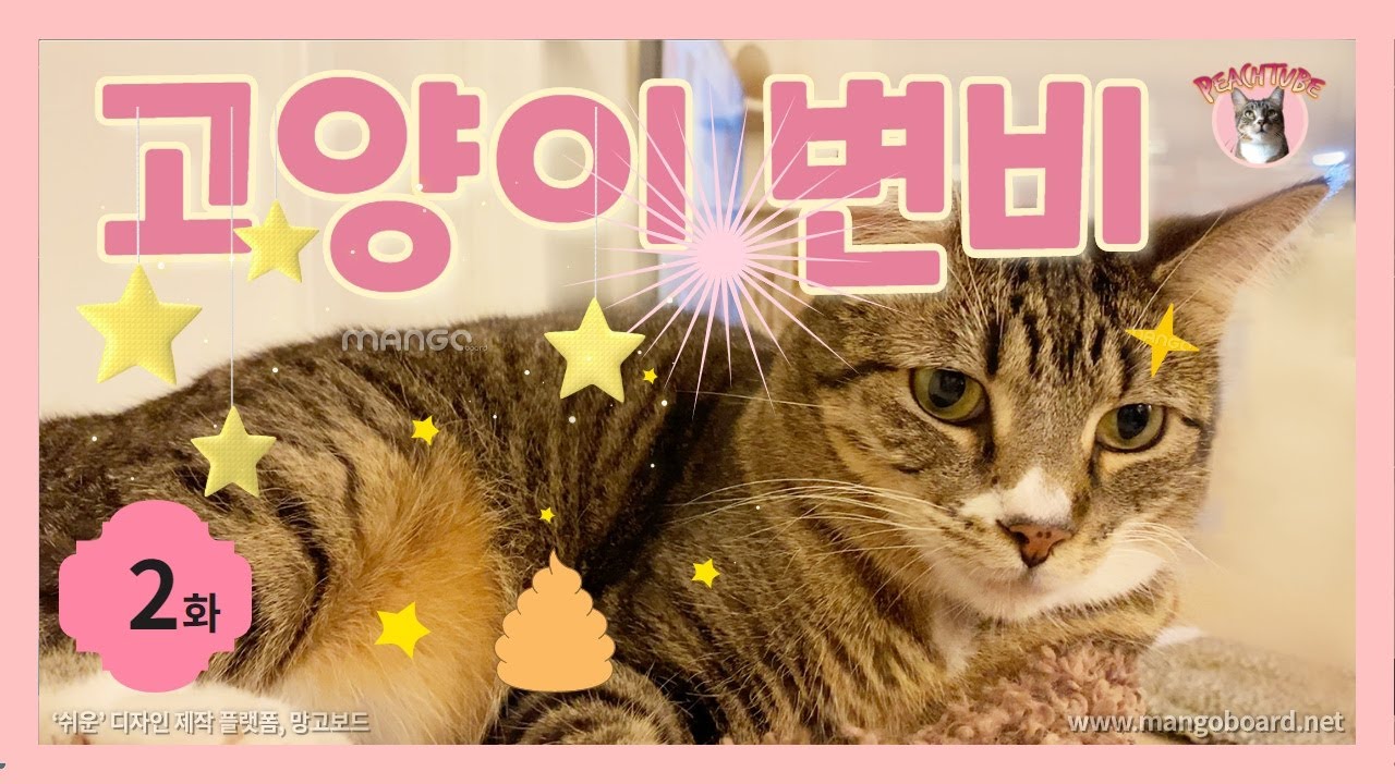고양이 변비 [cat constipation] 2화 피치의 변비이야기 