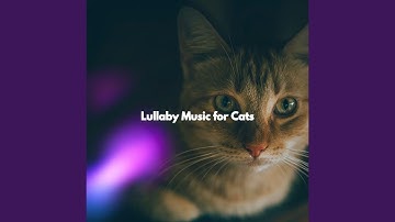 Grand Backdrops for Open Work Space