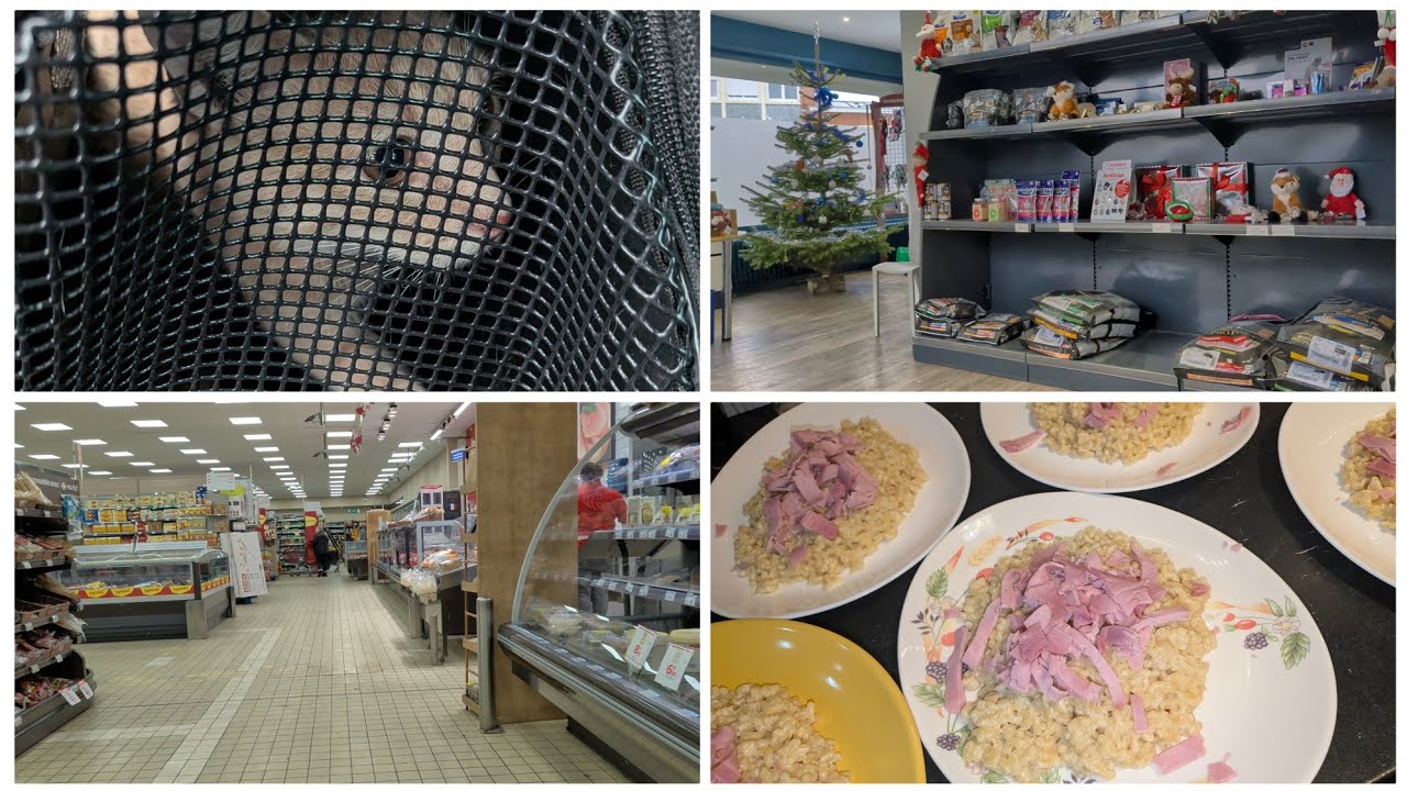 Vétérinaire.risotto.plus d'oeufs 🤔 jeudi 08 janvier VLOG 💜