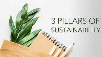 Understanding the Three Pillars of Sustainability: Creating a More Sustainable Future