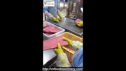 Giải pháp cưa cá đông lạnh- cưa Akiyama - máy cưa cá  ngừ - máy cưa cá #maycua #akiyama