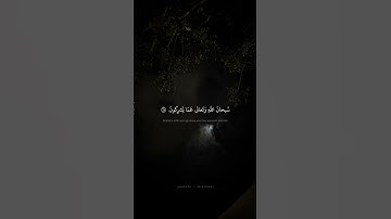 سُبحانَ اللَّهِ وَتَعالى عَمّا يُشرِكونَ محمد صديق المنشاوي سورة القصص