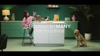 Bought By Many TV advert 2022 #LoveEveryMoment