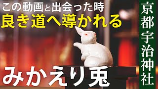 伝説のみかえり兎があなたを正しい道へ導く！京都宇治神社パワースポット