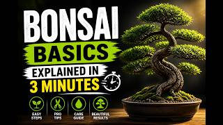 Bonsai Basics explained in 3 minutes! Net Worth