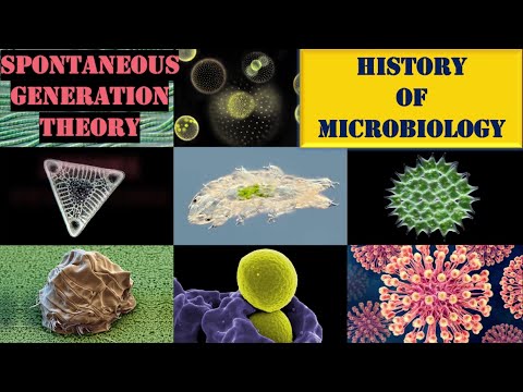 Spontaneous generation | History of Microbiology