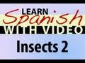 Learn Spanish with Video - Insects 2