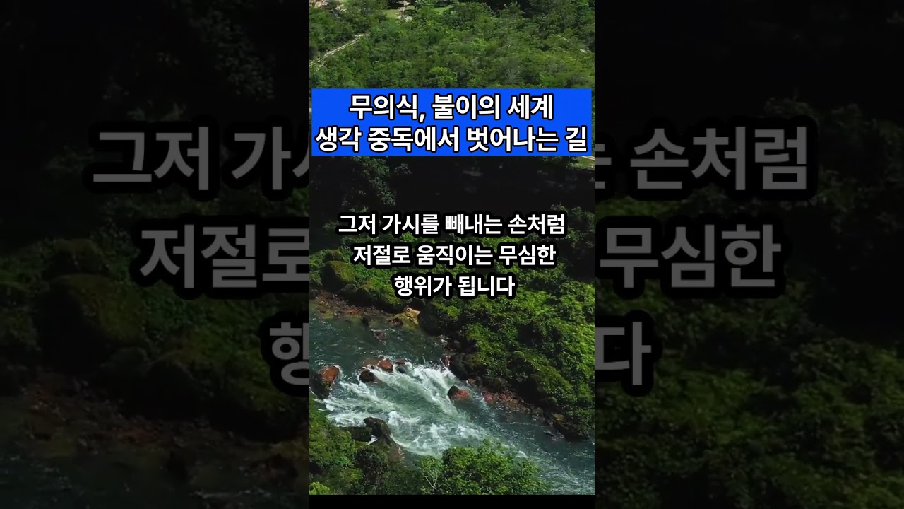 생각 중독에서 벗어나는 길 #알아차림 #불이 — Transcript