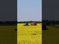 A tractor spraying a rapeseed field with insecticide. Agricultural enterprise #springineurope
