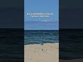 Вы в курсе, что эта неделя — последняя перед отчётностью за 2-й квартал? #бухгалтер #ип #побизнесу