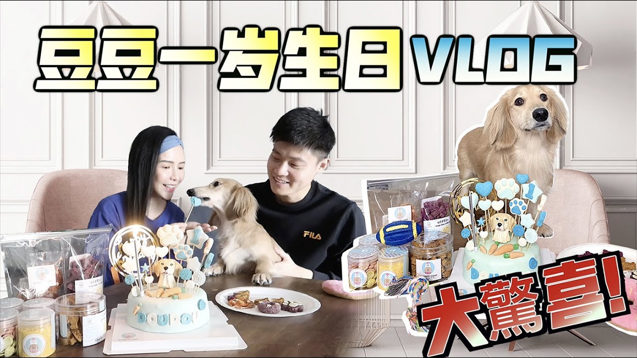 豆豆一岁生日！大惊喜！【VLOG】