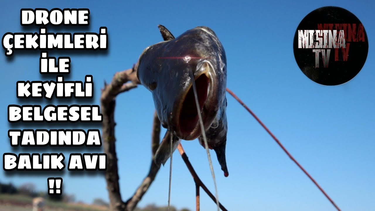 Tekirdağ Yeniçiftlik Barajı YAYIN AVI !! ( Sazan Avına Niyetlendik YAYIN çıktı )