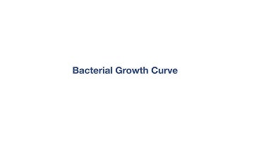 Bacterial Growth Curve