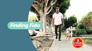 Finding Fido-Whos a Good Boy?
Seth Casteel helps enthusiastic dog owners-to-be find his or her perfect companion, only on Z Living.
Z Living is a TV network bringing you the best in health & wellness entertainment.
Were proud to be carried on the following providers: AT&T U-verse (Channel 459/1459), Cablevision/Optimum (Channel 164), DISH (Channel 191), Verizon FiOS (Channel 662), RCN (Channel 226/202), Frontier Communications (Channel 162), GCI (Channel 142), Cincinnati Bell (Channel 636), Buckeye (Channel 161/572), and Comcast/Chicago (Channel 389).
Subscribe to Z Living: http://www.youtube.com/subscription_center?add_user=zlivingworldwide
Find out more on our website: http://www.zliving.com
Get the latest updates via Facebook : http://www.facebook.com/zlivingus
Follow us on Twitter: http://www.twitter.com/ZLivingUS
Join us on Instagram: https://www.instagram.com/zlivingus/ Finding Fido-Whos a Good Boy?