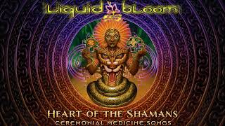 Liquid Bloom - Roots of the Earth (Medicina mix)