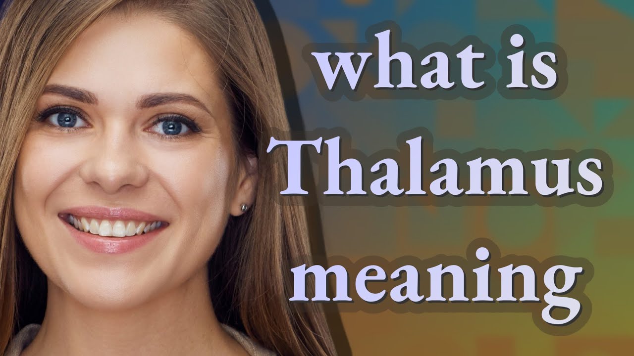 Thalamus meaning of Thalamus YouTube