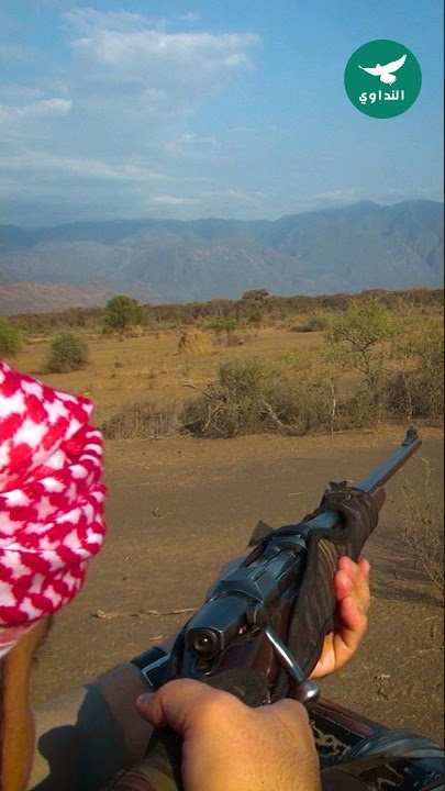 صيد غزال الطومسون مغامرة فريدة في أفريقيا