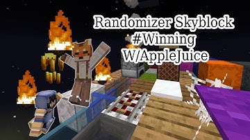 Skyblock Randomizer! #WINNERS POV