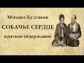 Собачье сердце краткое содержание по главам