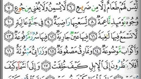 مصحف التجويد سورة الغاشية يحيى حوى