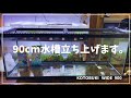 新しく90cm水槽を立ち上げていきたいと思います。