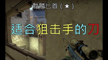【csgo】哪种刀适合狙击手呢？