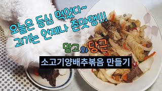 소고기양배추볶음 만들기~ 망고 존맛탱 고기 먹는 날