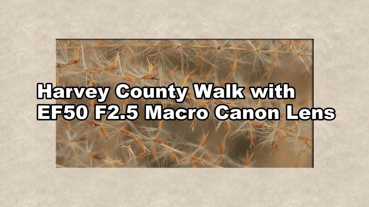 Harvey County Walk with Canon EF50 F2.5 Macro test