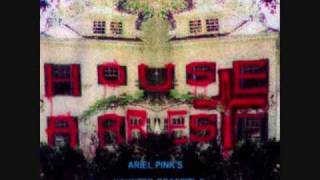Watch Ariel Pinks Haunted Graffiti Flying Circles video