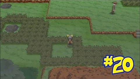 Pokémon Omega Ruby Episode 20 - Fallarbor Town