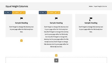 Equal Height Columns - Total WordPress theme