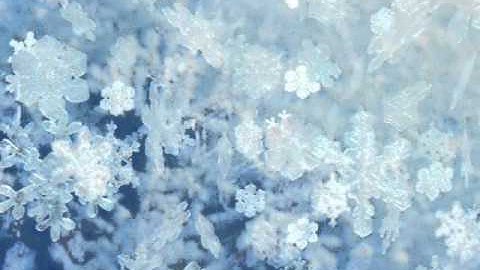 "Snowflake Waltz" by David Hollandsworth