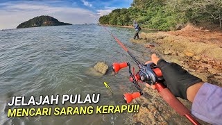 Adakah Ini DIKATAKAN SARANG Ikan Kerapu??