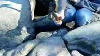 Ringing Rocks