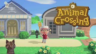 Собираем звезды, школа и ресторан. Animal Crossing: New Horizons.