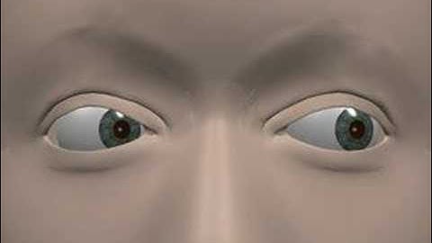 Eye Movement Terminology