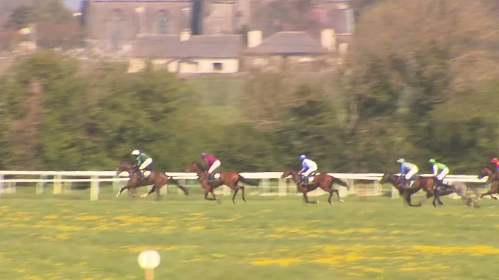 P2P - Tipp 24 April 2021 - R1 Walter Connors Veter...