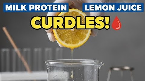 Coagulation/precipitation of Milk protein Casein 