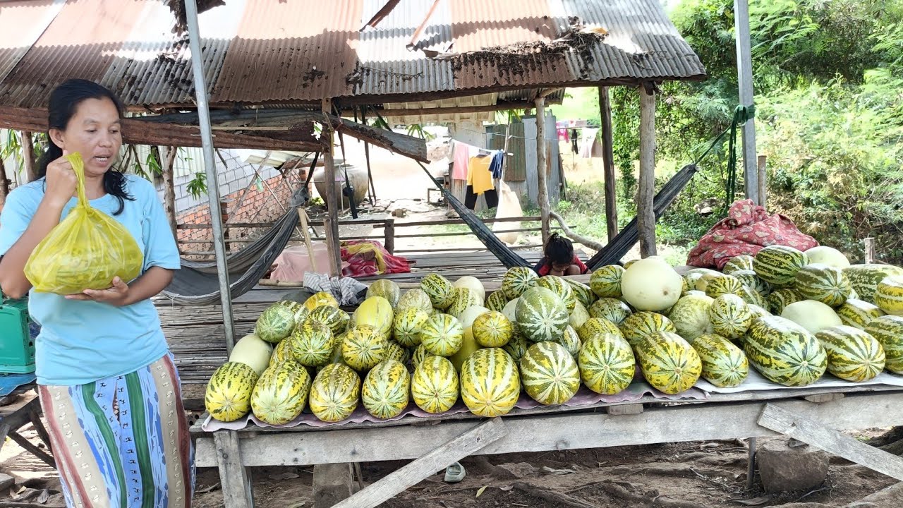 ត្រសក់ស្រូវដាំ ក្បែរស្ទឹង ល្អៗណាស់ ផុសឆ្ងាញ់ មានលក់រាល់ថ្ងៃ 1kg=2500រៀល